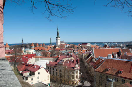 Tallinn Estonia panorama overlooking the cityの写真素材
