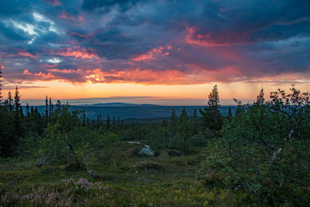 sunrise taken from a mountain in fulufjellet national park in sweden