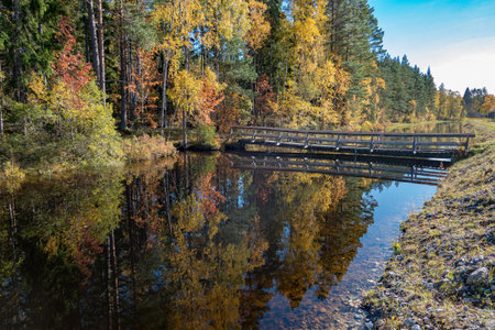 autumn trees reflected in a calm channel in Nykroppa Swedenの写真素材