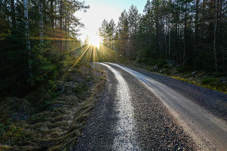 backlight over gravel road in Varmland Swedenの写真素材
