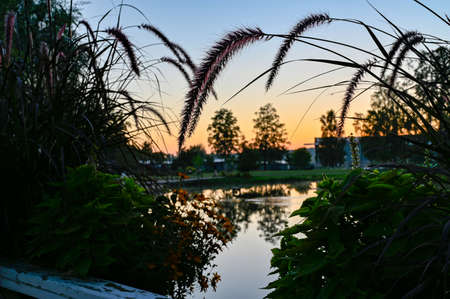sunset over calm pond in silent parkの写真素材