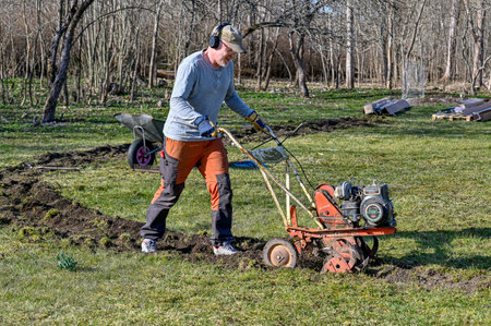 man cultivating lawn preparing for a hedgeのeditorial素材