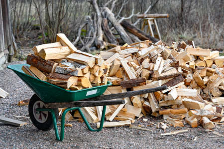 pile of firewood and green wheelbarrow for transportationの写真素材