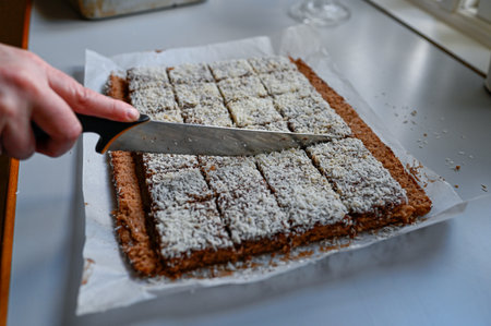 chocolate cake with cocos made on oven plate and cut into squaresの写真素材