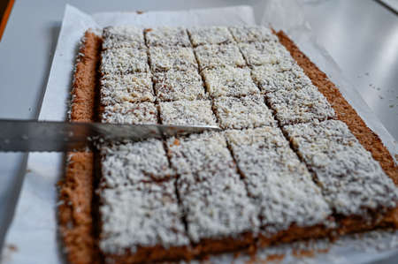 chocolate cake with cocos made on oven plateの写真素材