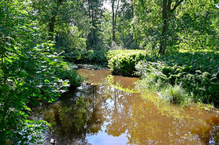 stream through woodland park in Orebro Swedenの写真素材