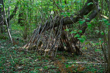 small hut built of sticks for kids