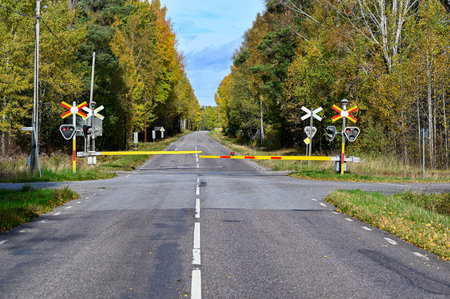 road and railway crossing in autumn weatherの写真素材