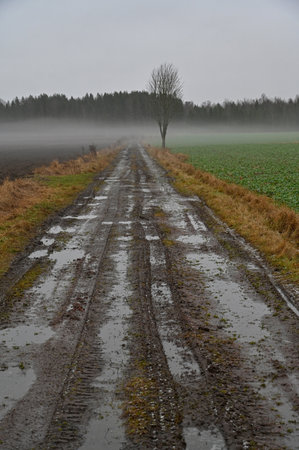 puddles of water on gravel road over fieldsの写真素材