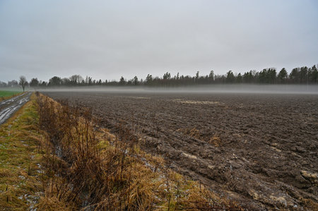 gray january day overlooking farmers field with mistの写真素材