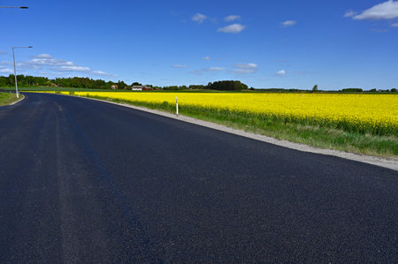 new tarmac road through yellow canola fieldsの写真素材