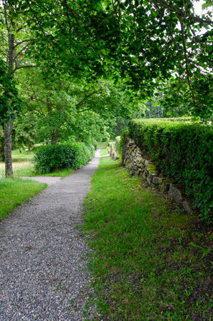 Straight trail through garden with hedges and stone wallsの写真素材