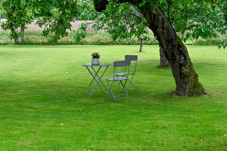 Small table and two chairs standing on grass in gardenの写真素材