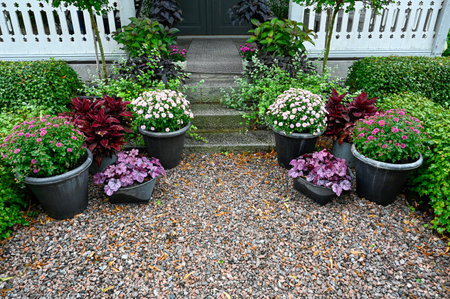 Beautiful flowers planted in pots beside stone stairs to houseの写真素材