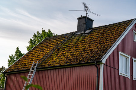 Moss covers roof tiles on house in Swedenの写真素材