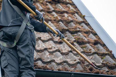 Workers cleaning roof tiles covered in mossの写真素材