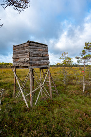 Hunting tower standing in big Motala Swedenの写真素材