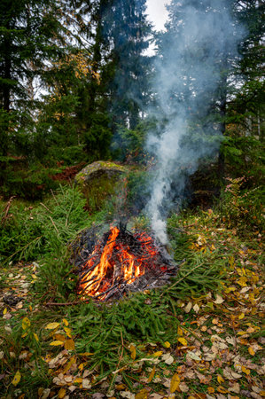 Burning twigs from trees in garden November 4 2023の写真素材