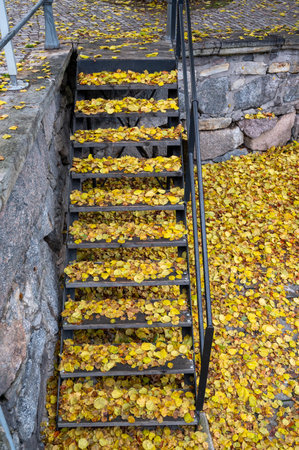 Metal stairs and railing covered in yellow leavesの写真素材