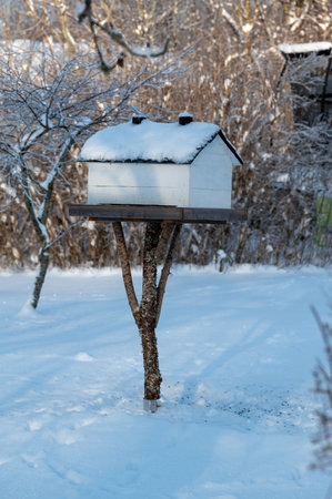 Bird feeder in form of a houseの写真素材