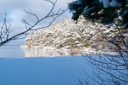 Overlooking ice on lake and winter forestの写真素材