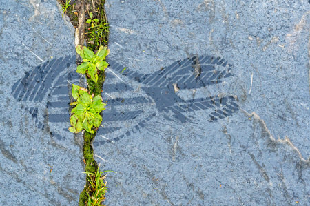 A wet footprint after a trainer shoe on dark stoneの写真素材