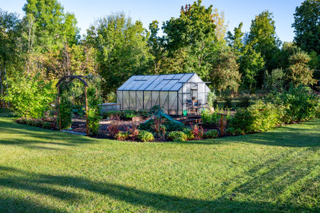 Morning light in garden with lawn and vegetable areaの写真素材