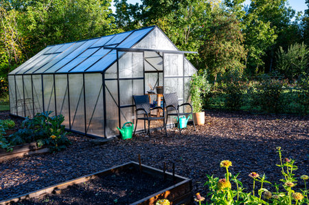 Morning sunshine on greenhouse in vegetable gardenの写真素材