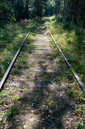 Old train tracks now working as trail for walkingの写真素材