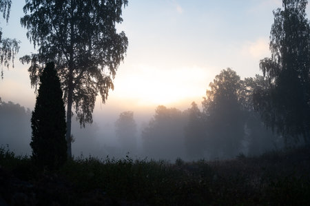 Sunrise on a cold misty autumn morning i Motala Swedenの写真素材