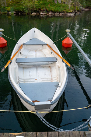 Small rowing boat with pair of oarsの写真素材