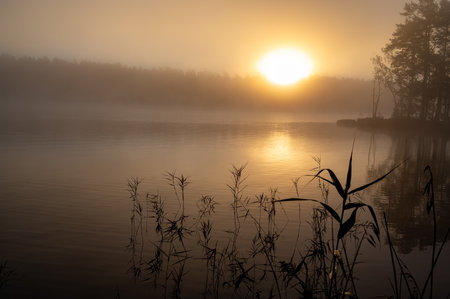Sunrise a misty calm morning Motala Swedenの写真素材