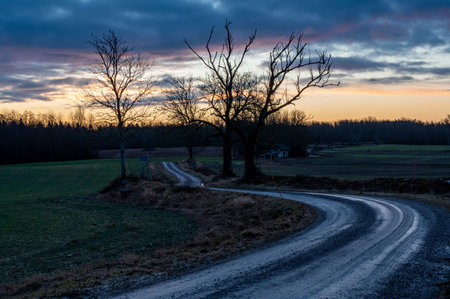 wet soft gravel road through fieldsの写真素材
