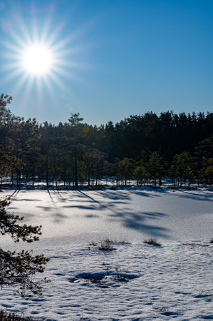 Cold and sunny winter day in Hallefors Swedenの写真素材
