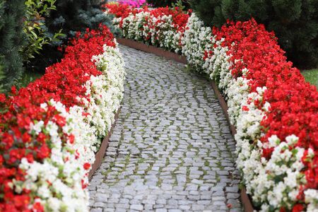 Decorative flowers in the beautiful garden are used to relax in your free timeの写真素材