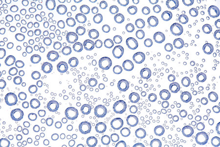 A background of air bubble trapped under waterの写真素材