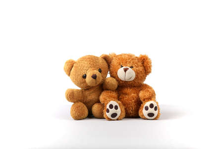 Two nice brown teddy bear sit and pose for photosの写真素材