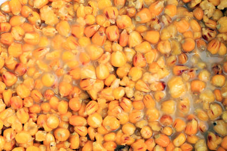 Cooked corn seeds for carp as a baatの写真素材