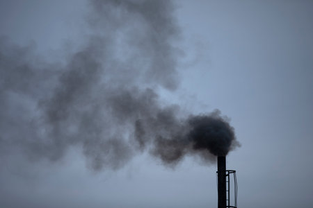 Smoke from a chimney that is harmful and very toxic to humans