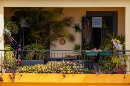 Flowers and plants on the balcony of a house in the tropicsの写真素材