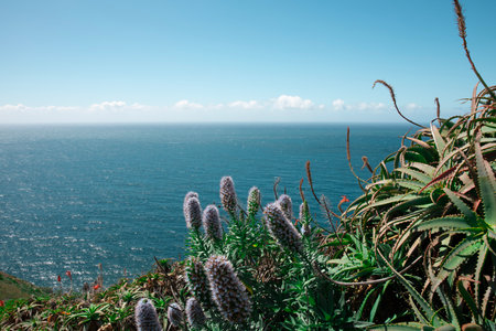 Beautiful view of the sea from the top of the mountain.の写真素材