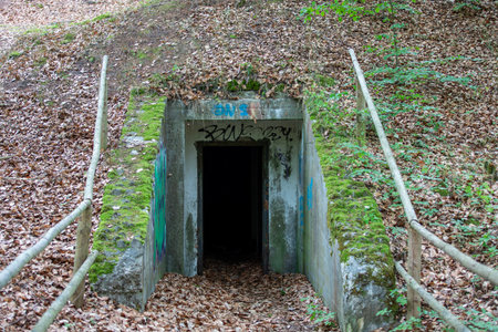 Old military bunker in the forest. The entrance to the bunker.の写真素材
