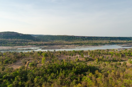 Forest and riverの写真素材