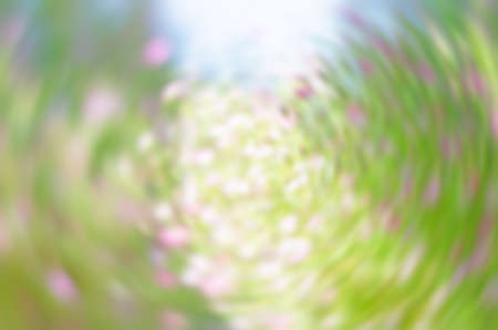 Abstract background blur flowerの写真素材
