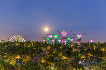 SINGAPORE - MARCH 16: Night view of Supertree Grove and Cloud Forest Dome at Gardens by the Bay on Mar 16, 2014 in Singapore. Adjacent to the Marina Reservoir and Bay Front MRT Stationのeditorial素材