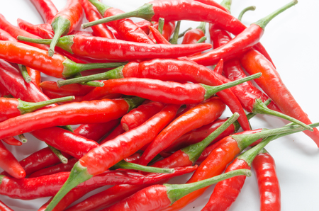 Red chili on white backgroundの写真素材