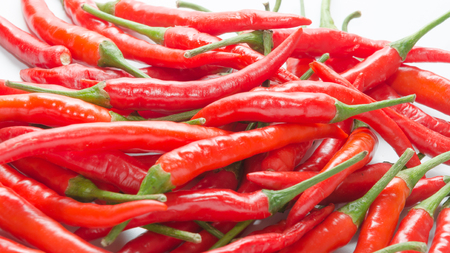 Red chili on white backgroundの写真素材