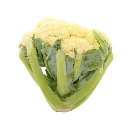 Raw cauliflower isolated on white backgroundの写真素材