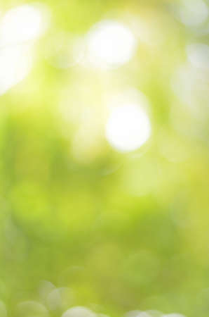 Blur natural green tree and light bokeh for use as backgroundの写真素材