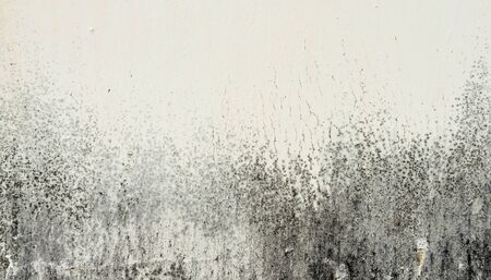 Abstract grunge dirty wall for use as background